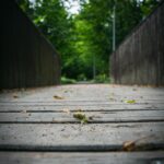 Radio Biwak w Horyńcu-Zdroju (fotogaleria) 22 - Polskie Radio Rzeszów Radio Biwak w Horyńcu-Zdroju (fotogaleria) - Polskie Radio Rzeszów