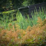 Radio Biwak w Horyńcu-Zdroju (fotogaleria) 28 - Polskie Radio Rzeszów Radio Biwak w Horyńcu-Zdroju (fotogaleria) - Polskie Radio Rzeszów