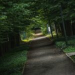 Radio Biwak w Horyńcu-Zdroju (fotogaleria) 29 - Polskie Radio Rzeszów Radio Biwak w Horyńcu-Zdroju (fotogaleria) - Polskie Radio Rzeszów