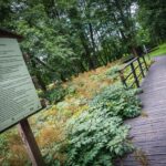 Radio Biwak w Horyńcu-Zdroju (fotogaleria) 35 - Polskie Radio Rzeszów Radio Biwak w Horyńcu-Zdroju (fotogaleria) - Polskie Radio Rzeszów