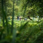 Radio Biwak w Horyńcu-Zdroju (fotogaleria) 36 - Polskie Radio Rzeszów Radio Biwak w Horyńcu-Zdroju (fotogaleria) - Polskie Radio Rzeszów