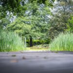 Radio Biwak w Horyńcu-Zdroju (fotogaleria) 37 - Polskie Radio Rzeszów Radio Biwak w Horyńcu-Zdroju (fotogaleria) - Polskie Radio Rzeszów