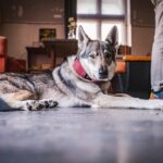 Radio Biwak "kręciło się" po Jaśliskach (fotogaleria) 86 - Polskie Radio Rzeszów Radio Biwak "kręciło się" po Jaśliskach (fotogaleria) - Polskie Radio Rzeszów