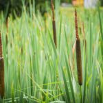 Radio Biwak w Horyńcu-Zdroju (fotogaleria) 41 - Polskie Radio Rzeszów Radio Biwak w Horyńcu-Zdroju (fotogaleria) - Polskie Radio Rzeszów