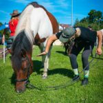 Z Radiem Biwak na Powojennych Targach Końskich w Lutowiskach (zdjęcia) - Polskie Radio Rzeszów