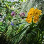 Ogrody zamku w Łańcucie na trasie Radia Biwak (fotogaleria) 7 - Polskie Radio Rzeszów Ogrody zamku w Łańcucie na trasie Radia Biwak (fotogaleria) - Polskie Radio Rzeszów