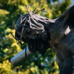 Radio Biwak odwiedziło Zemplínske Hámre (fotogaleria) 4 - Polskie Radio Rzeszów Radio Biwak odwiedziło Zemplínske Hámre (fotogaleria) - Polskie Radio Rzeszów