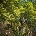 Ogrody zamku w Łańcucie na trasie Radia Biwak (fotogaleria) 16 - Polskie Radio Rzeszów Ogrody zamku w Łańcucie na trasie Radia Biwak (fotogaleria) - Polskie Radio Rzeszów