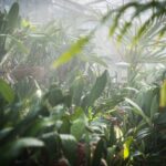 Ogrody zamku w Łańcucie na trasie Radia Biwak (fotogaleria) 22 - Polskie Radio Rzeszów Ogrody zamku w Łańcucie na trasie Radia Biwak (fotogaleria) - Polskie Radio Rzeszów