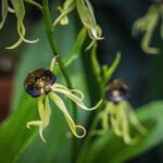 Ogrody zamku w Łańcucie na trasie Radia Biwak (fotogaleria) 28 - Polskie Radio Rzeszów Ogrody zamku w Łańcucie na trasie Radia Biwak (fotogaleria) - Polskie Radio Rzeszów