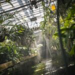 Ogrody zamku w Łańcucie na trasie Radia Biwak (fotogaleria) 31 - Polskie Radio Rzeszów Ogrody zamku w Łańcucie na trasie Radia Biwak (fotogaleria) - Polskie Radio Rzeszów