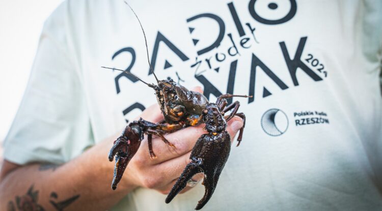 Z Radiem Biwak w Narolu w poszukiwaniu źródeł Tanwi (zdjęcia)