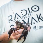 Z Radiem Biwak w Narolu w poszukiwaniu źródeł Tanwi (zdjęcia) 5 - Polskie Radio Rzeszów Z Radiem Biwak w Narolu w poszukiwaniu źródeł Tanwi (zdjęcia) - Polskie Radio Rzeszów