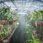 Ogrody zamku w Łańcucie na trasie Radia Biwak (fotogaleria) 35 - Polskie Radio Rzeszów Ogrody zamku w Łańcucie na trasie Radia Biwak (fotogaleria) - Polskie Radio Rzeszów