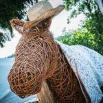 Radio Biwak na Folkowisku w Gorajcu (zdjęcia) - Polskie Radio Rzeszów