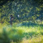 Ogrody zamku w Łańcucie na trasie Radia Biwak (fotogaleria) 51 - Polskie Radio Rzeszów Ogrody zamku w Łańcucie na trasie Radia Biwak (fotogaleria) - Polskie Radio Rzeszów