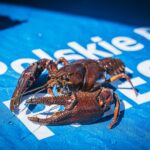 Z Radiem Biwak w Narolu w poszukiwaniu źródeł Tanwi (zdjęcia) 16 - Polskie Radio Rzeszów Z Radiem Biwak w Narolu w poszukiwaniu źródeł Tanwi (zdjęcia) - Polskie Radio Rzeszów