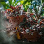 Ogrody zamku w Łańcucie na trasie Radia Biwak (fotogaleria) 55 - Polskie Radio Rzeszów Ogrody zamku w Łańcucie na trasie Radia Biwak (fotogaleria) - Polskie Radio Rzeszów