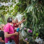 Ogrody zamku w Łańcucie na trasie Radia Biwak (fotogaleria) 57 - Polskie Radio Rzeszów Ogrody zamku w Łańcucie na trasie Radia Biwak (fotogaleria) - Polskie Radio Rzeszów