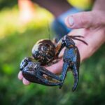 Z Radiem Biwak w Narolu w poszukiwaniu źródeł Tanwi (zdjęcia) 31 - Polskie Radio Rzeszów Z Radiem Biwak w Narolu w poszukiwaniu źródeł Tanwi (zdjęcia) - Polskie Radio Rzeszów