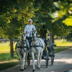 Ogrody zamku w Łańcucie na trasie Radia Biwak (fotogaleria) 67 - Polskie Radio Rzeszów Ogrody zamku w Łańcucie na trasie Radia Biwak (fotogaleria) - Polskie Radio Rzeszów