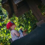 Radio Biwak na Folkowisku w Gorajcu (zdjęcia) - Polskie Radio Rzeszów