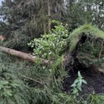 W regionie brak prądu, uszkodzone dachy. Zalane ulice w Rzeszowie (film, aktualizacja) - Polskie Radio Rzeszów