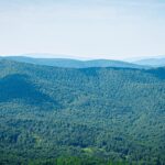 Radio Biwak z Chatki Puchatka (FOTOGALERIA) 42 - Polskie Radio Rzeszów Radio Biwak z Chatki Puchatka (FOTOGALERIA) - Polskie Radio Rzeszów