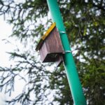 Radio Biwak na wyprawie do Mucznego (zdjęcia) 3 - Polskie Radio Rzeszów Radio Biwak na wyprawie do Mucznego (zdjęcia) - Polskie Radio Rzeszów