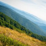 Radio Biwak z Chatki Puchatka (FOTOGALERIA) 61 - Polskie Radio Rzeszów Radio Biwak z Chatki Puchatka (FOTOGALERIA) - Polskie Radio Rzeszów