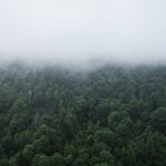 Radio Biwak na wyprawie do Mucznego (zdjęcia) 8 - Polskie Radio Rzeszów Radio Biwak na wyprawie do Mucznego (zdjęcia) - Polskie Radio Rzeszów