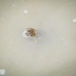 Radio Biwak na wyprawie do Mucznego (zdjęcia) 16 - Polskie Radio Rzeszów Radio Biwak na wyprawie do Mucznego (zdjęcia) - Polskie Radio Rzeszów