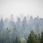 Radio Biwak na wyprawie do Mucznego (zdjęcia) 19 - Polskie Radio Rzeszów Radio Biwak na wyprawie do Mucznego (zdjęcia) - Polskie Radio Rzeszów