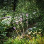 Radio Biwak na wyprawie do Mucznego (zdjęcia) 23 - Polskie Radio Rzeszów Radio Biwak na wyprawie do Mucznego (zdjęcia) - Polskie Radio Rzeszów