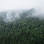 Radio Biwak na wyprawie do Mucznego (zdjęcia) 35 - Polskie Radio Rzeszów Radio Biwak na wyprawie do Mucznego (zdjęcia) - Polskie Radio Rzeszów