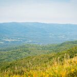 Radio Biwak z Chatki Puchatka (FOTOGALERIA) 63 - Polskie Radio Rzeszów Radio Biwak z Chatki Puchatka (FOTOGALERIA) - Polskie Radio Rzeszów