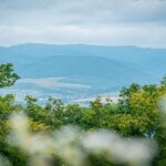 Radio Biwak w ruinach słowackiego zamku (zdjęcia) 54 - Polskie Radio Rzeszów Radio Biwak w ruinach słowackiego zamku (zdjęcia) - Polskie Radio Rzeszów