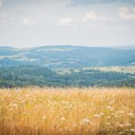 Radio Biwak w Kalwarii Pacławskiej (fotogaleria) - Polskie Radio Rzeszów