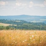 Radio Biwak w Kalwarii Pacławskiej (fotogaleria) - Polskie Radio Rzeszów