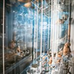 Radio Biwak w Jarosławiu. Skarby i historia Kamienicy Orsettich (fotogaleria) - Polskie Radio Rzeszów