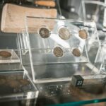 Radio Biwak w Jarosławiu. Skarby i historia Kamienicy Orsettich (fotogaleria) - Polskie Radio Rzeszów