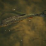 Radio Biwak zacumowało przy "Białej Flocie" w Solinie (zdjęcia) 58 - Polskie Radio Rzeszów Radio Biwak zacumowało przy "Białej Flocie" w Solinie (zdjęcia) - Polskie Radio Rzeszów