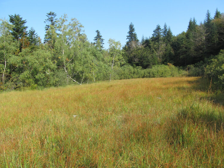 Zaginione królestwo Jasiołki