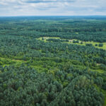 Z Radiem Biwak w Radomyślu nad Sanem (fotogaleria) 13 - Polskie Radio Rzeszów Z Radiem Biwak w Radomyślu nad Sanem (fotogaleria) - Polskie Radio Rzeszów