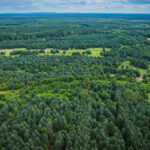 Z Radiem Biwak w Radomyślu nad Sanem (fotogaleria) 15 - Polskie Radio Rzeszów Z Radiem Biwak w Radomyślu nad Sanem (fotogaleria) - Polskie Radio Rzeszów