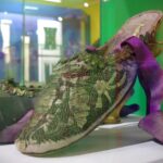 „Na obcasie i bez” - wystawa w Rzeszowie (zdjęcia) 16 - Polskie Radio Rzeszów „Na obcasie i bez” - wystawa w Rzeszowie (zdjęcia) - Polskie Radio Rzeszów