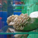 „Na obcasie i bez” - wystawa w Rzeszowie (zdjęcia) 3 - Polskie Radio Rzeszów „Na obcasie i bez” - wystawa w Rzeszowie (zdjęcia) - Polskie Radio Rzeszów