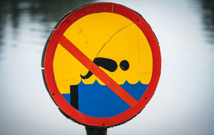 W zalewie w Brzózie Królewskiej zakwitły sinice. Zakaz kąpieli