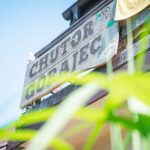 Radio Biwak z Gorajca. Folkowiska dzień drugi! 15 - Polskie Radio Rzeszów Radio Biwak z Gorajca. Folkowiska dzień drugi! - Polskie Radio Rzeszów