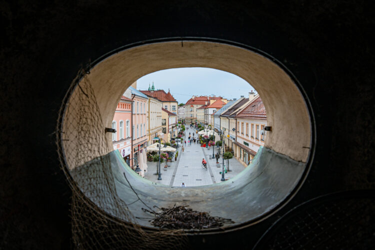 Historia Rzeszowa pisana piaskiem